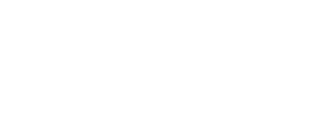 Plexus
